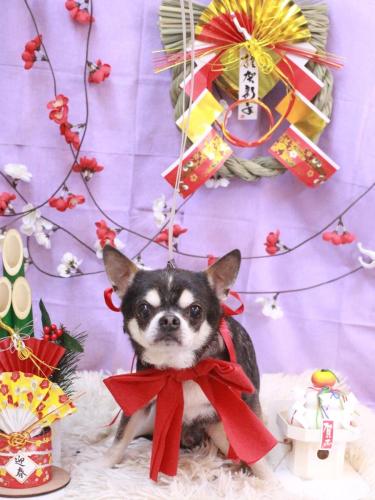 20230124ボーくん